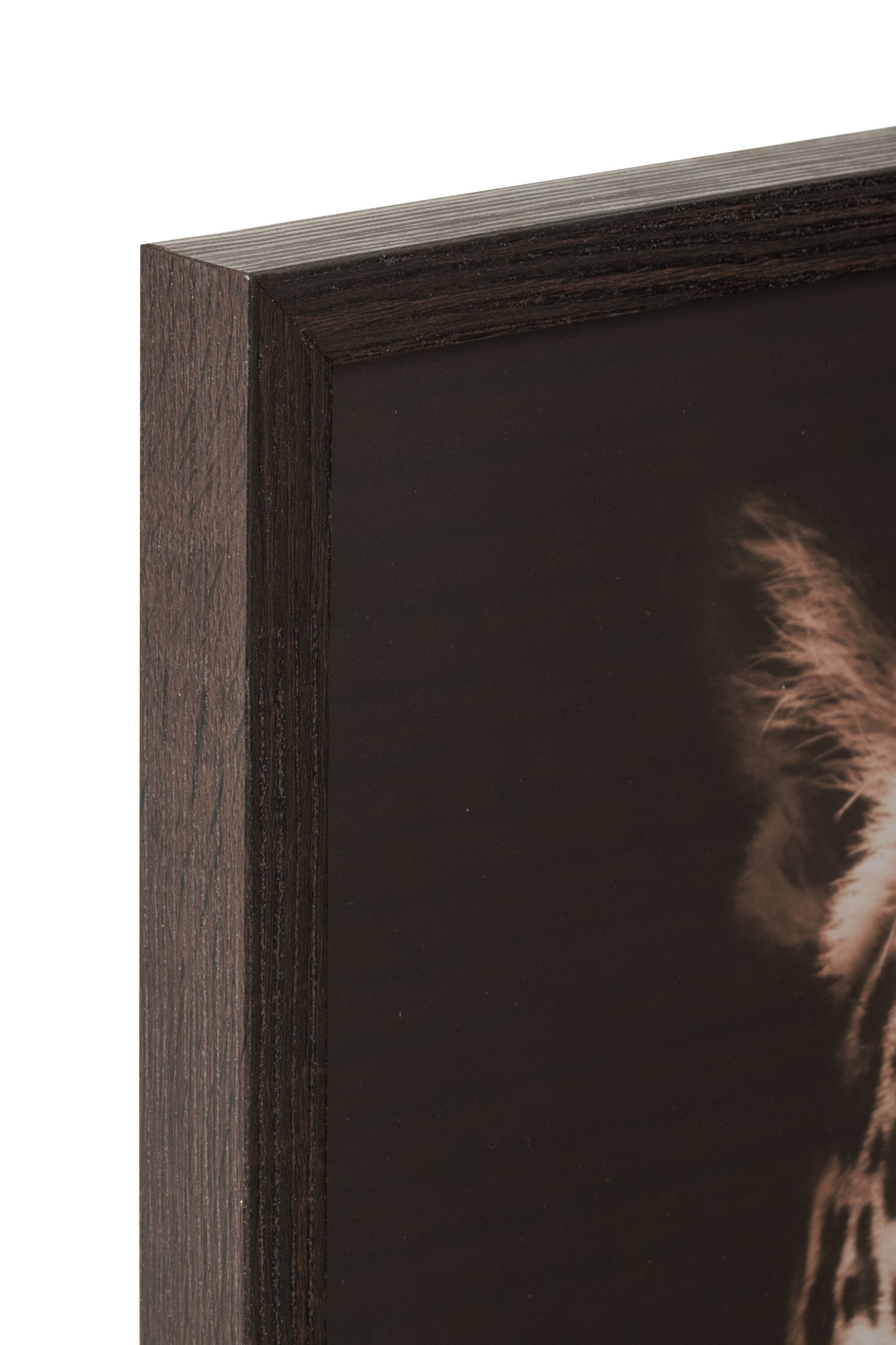 Frame Leeuw/Panter Mdf/Glas Bruin/Zwart Assortiment Van 2