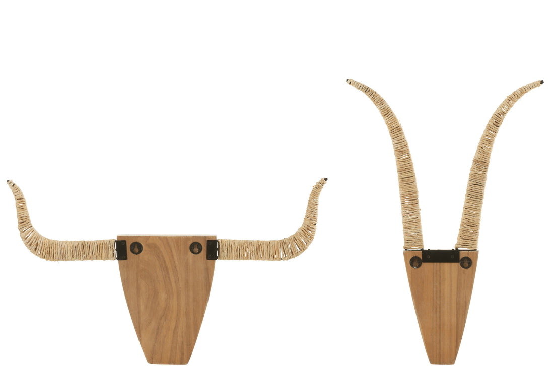Set van twee wanddecoraties Stier Sparrenhout/Riet Wit/Natuurlijk