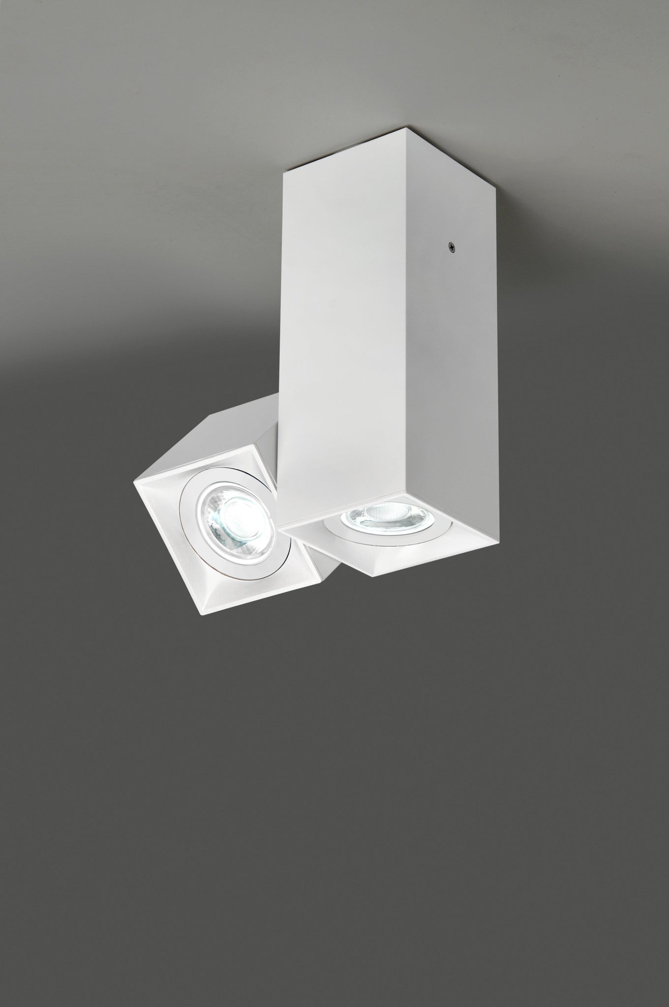 Dau 80 plafondlamp 2 x GU10 gestructureerd wit