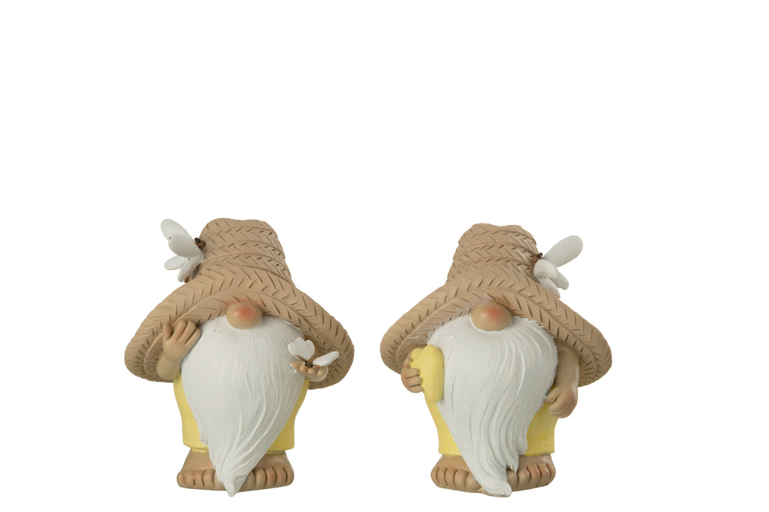 Gnoom Hart Vlinder Poly Mix Medium Assortiment Van 2