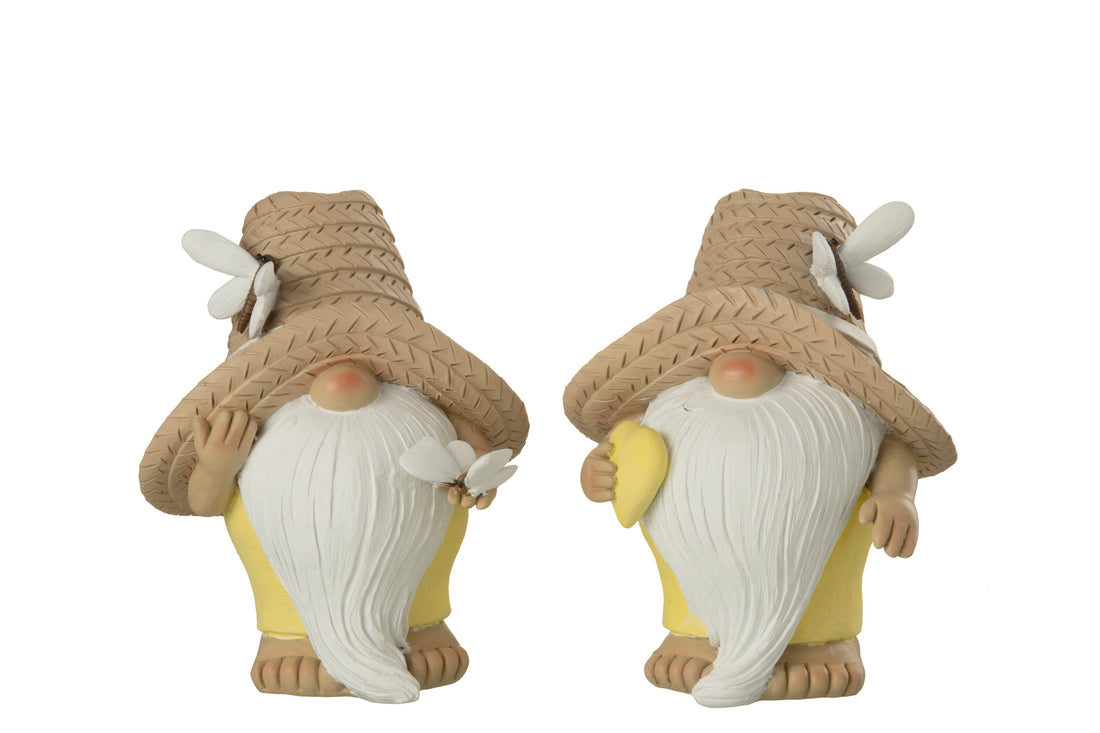 Gnoom Hart Vlinder Poly Mix Groot Assortiment Van 2