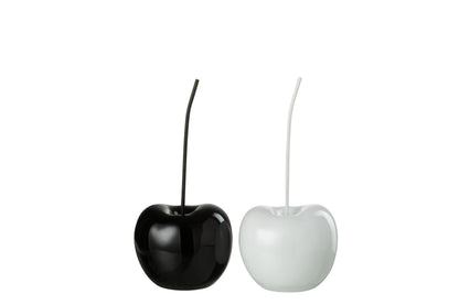 Kersenhars Glanzend Wit/Zwart Kleine Assortiment Van 2