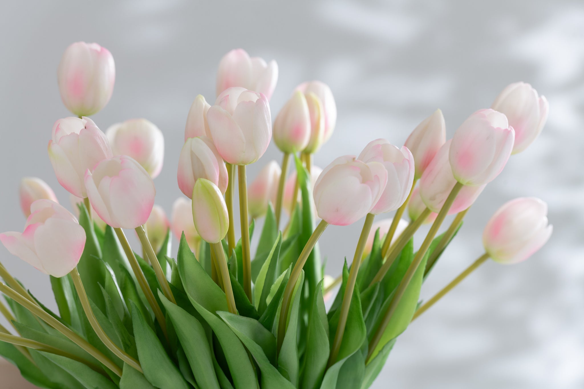 J-Line Boeket Tulpen 7Stuks Pu Licht Roze Large