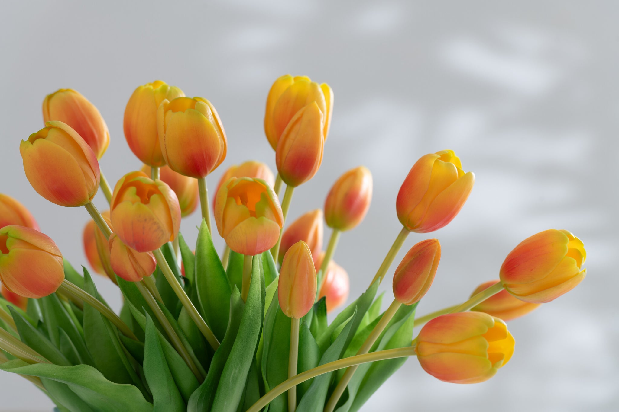 J-Line Boeket Tulpen 7Stuks Pu Oranje Large