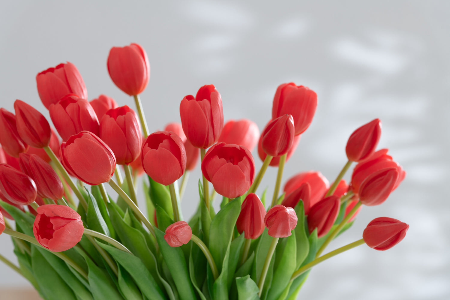 J-Line Boeket Tulpen 7Stuks Pu Koraal Roze Large
