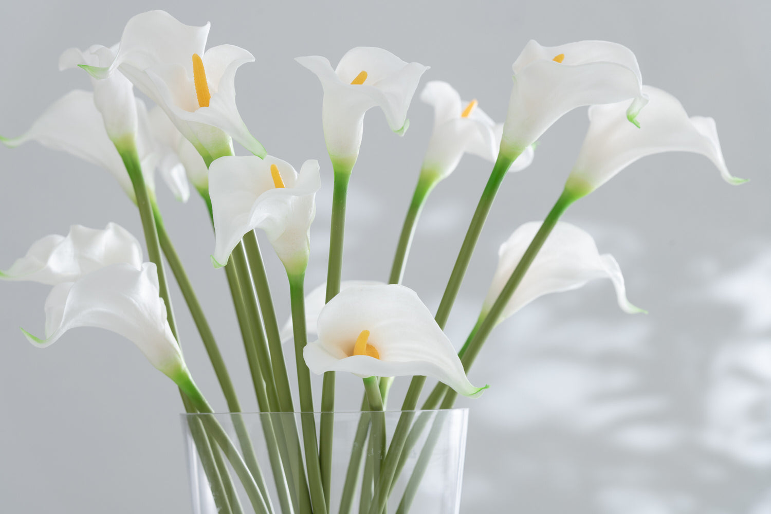 J-Line Boeket Calla Lelie 8Stuks Kunststof Wit Klein