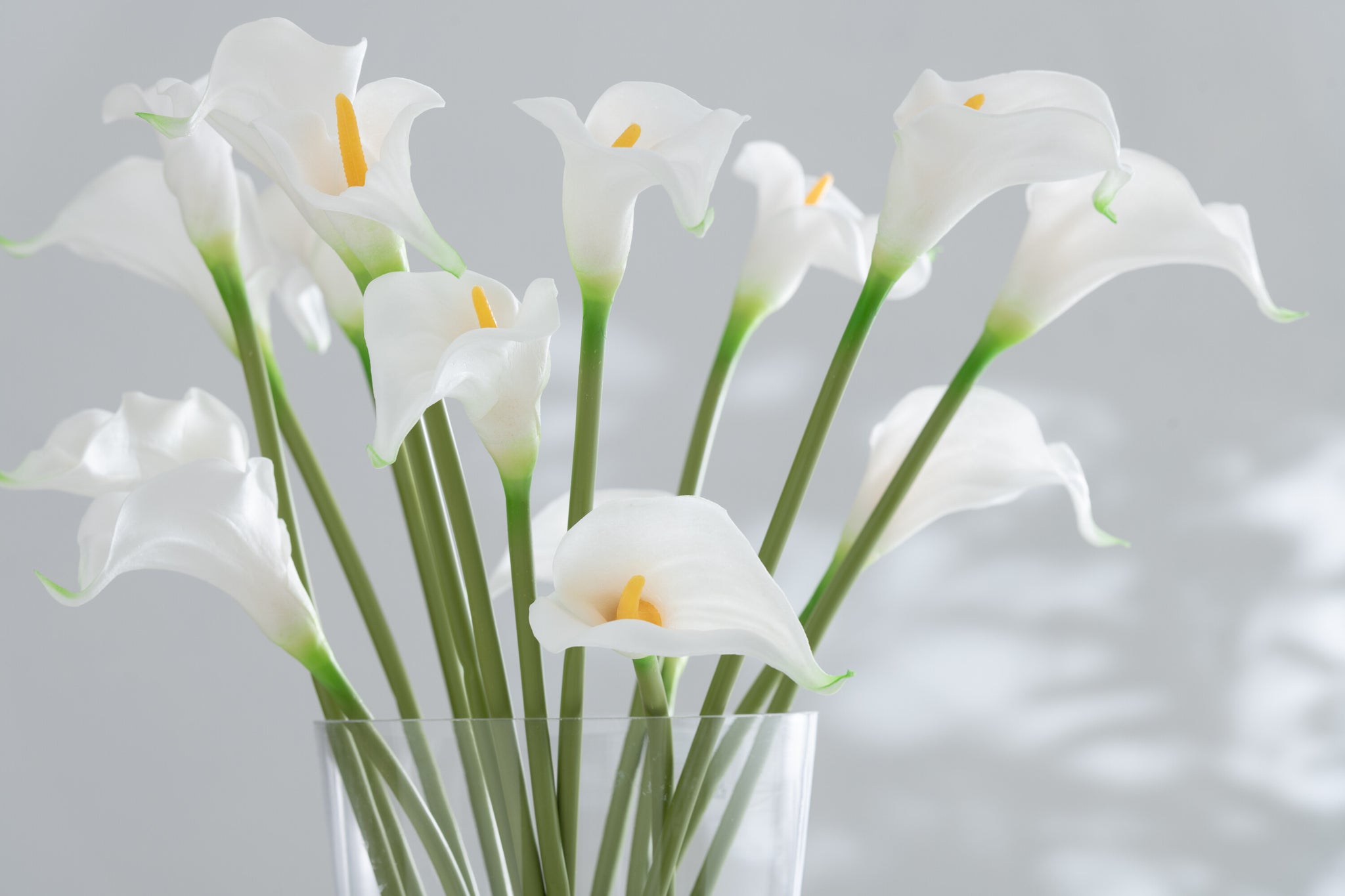 J-Line Boeket Calla Lelie 8Stuks Kunststof Wit Klein