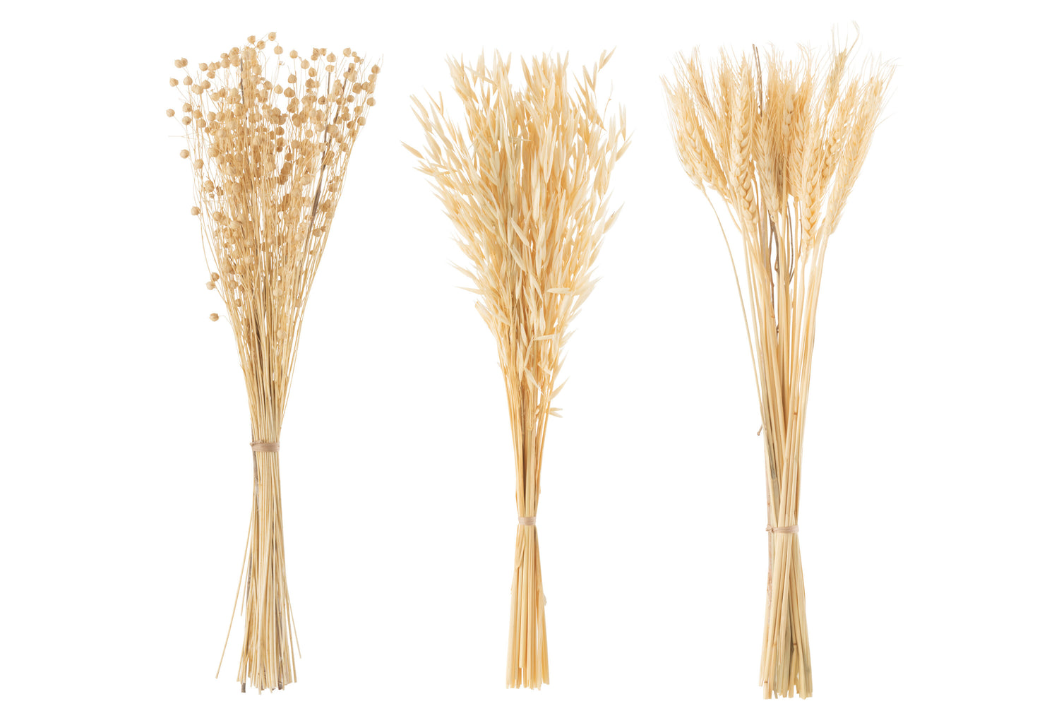 Bos Gedroogde Bloemen Natuurlijke Assortiment Van 3