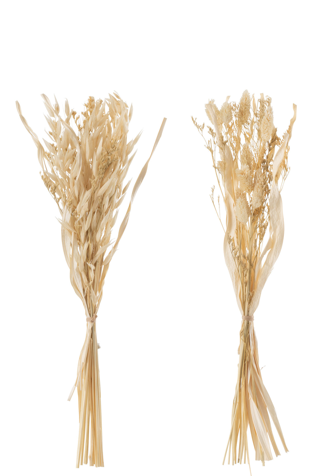 Bos Gedroogd Avana Gras Natuurlijke Assortiment Van 2