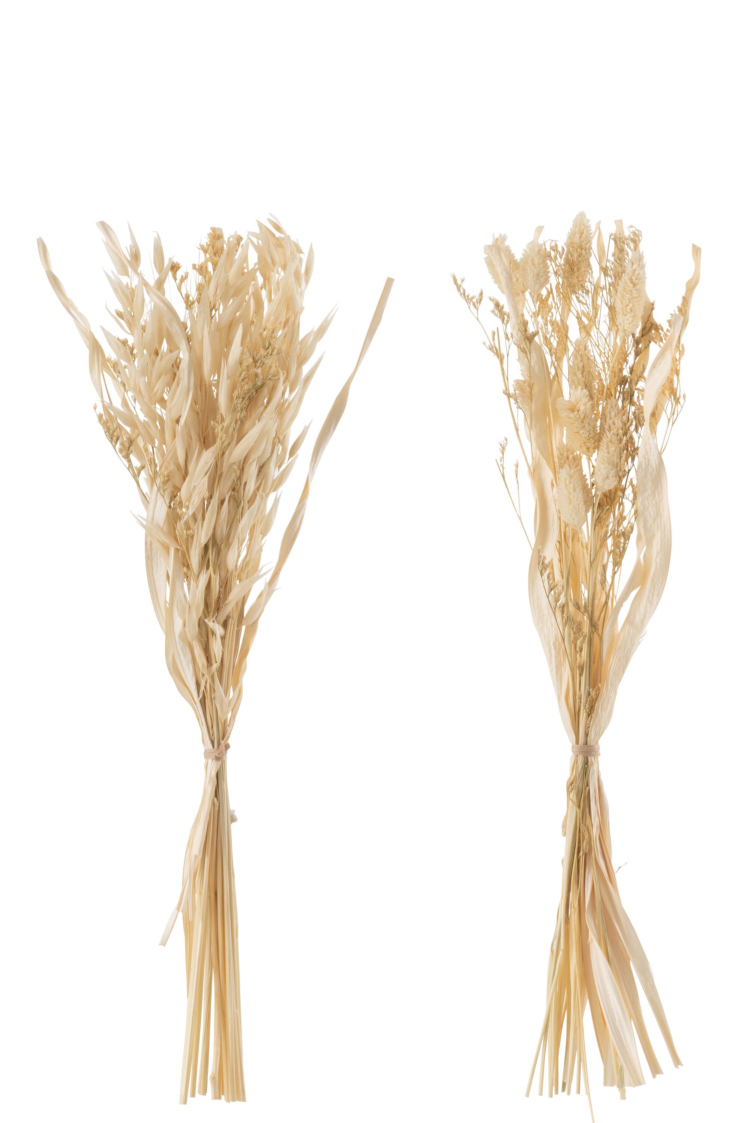 Bos Gedroogd Avana Gras Natuurlijke Assortiment Van 2