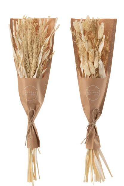 Bos Gedroogd Avana Gras Natuurlijke Assortiment Van 2