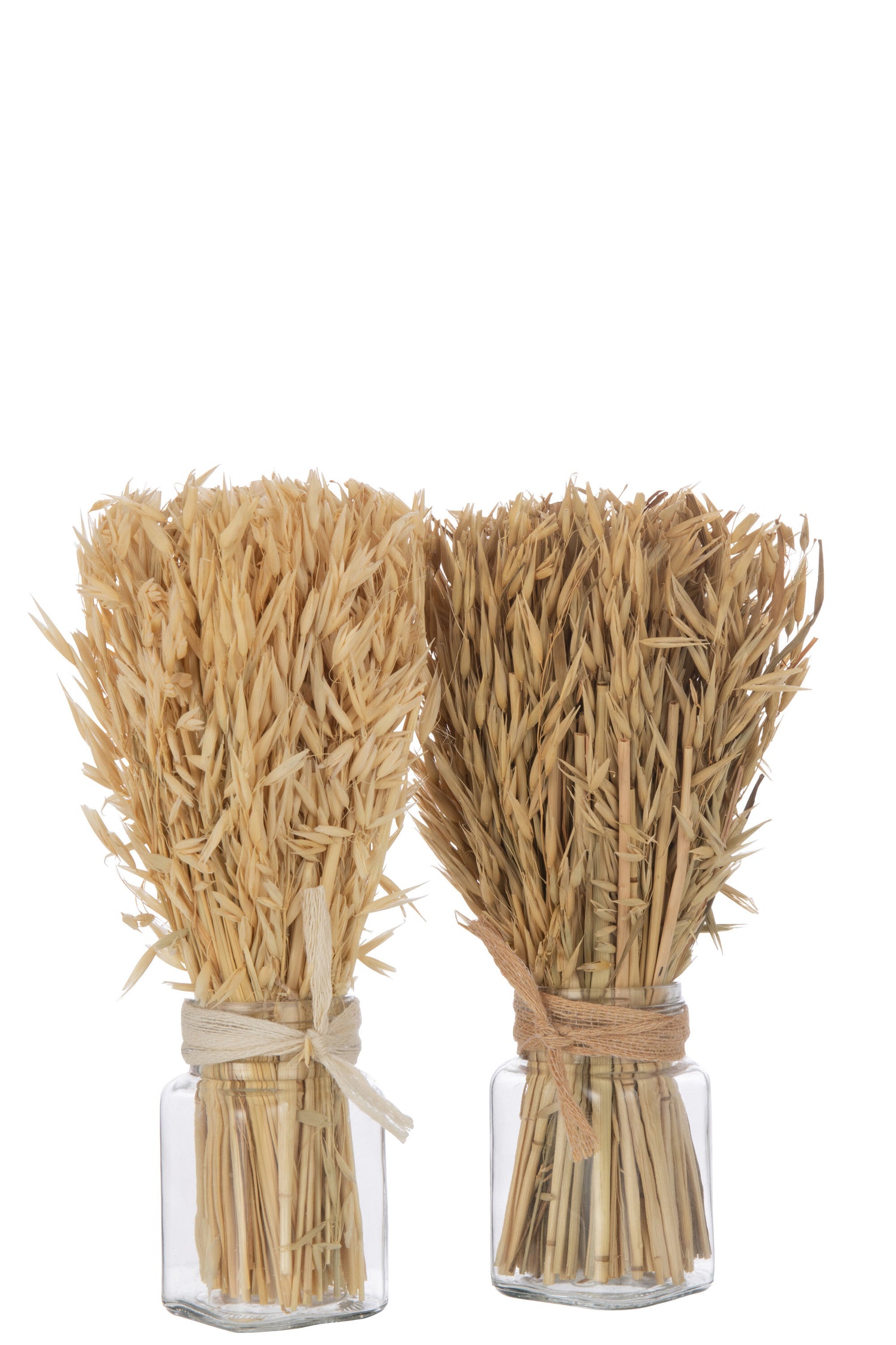 Bos Gedroogd Avana Gras In Vaas Natuurlijke Assortiment Van 2