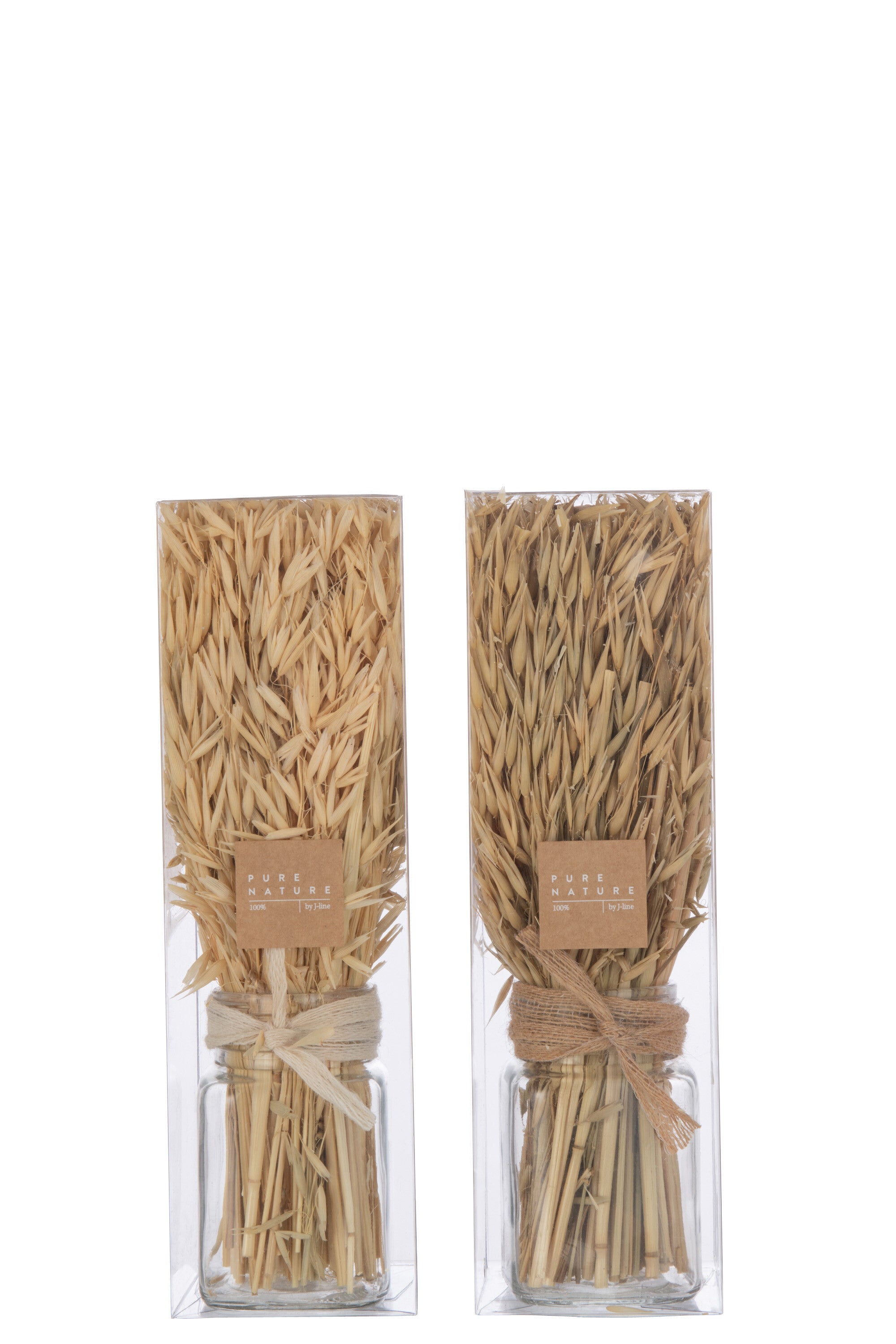 Bos Gedroogd Avana Gras In Vaas Natuurlijke Assortiment Van 2