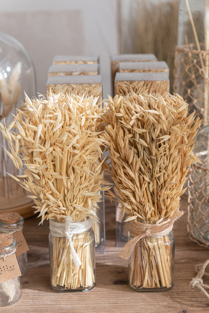 Bos Gedroogd Avana Gras In Vaas Natuurlijke Assortiment Van 2