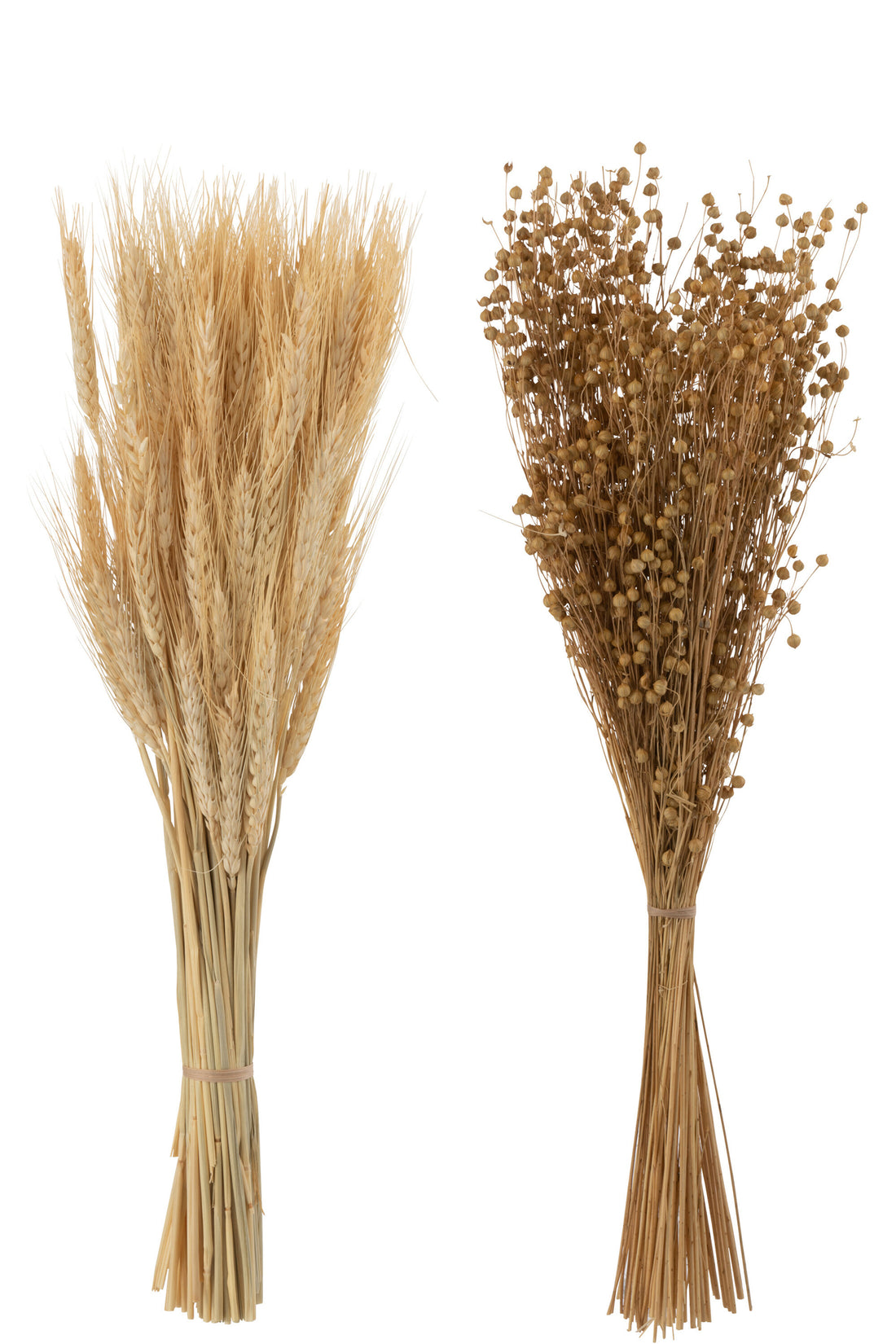 Bos Gedroogde Tishi+Tarwegras Natuurlijke Assortiment Van 2