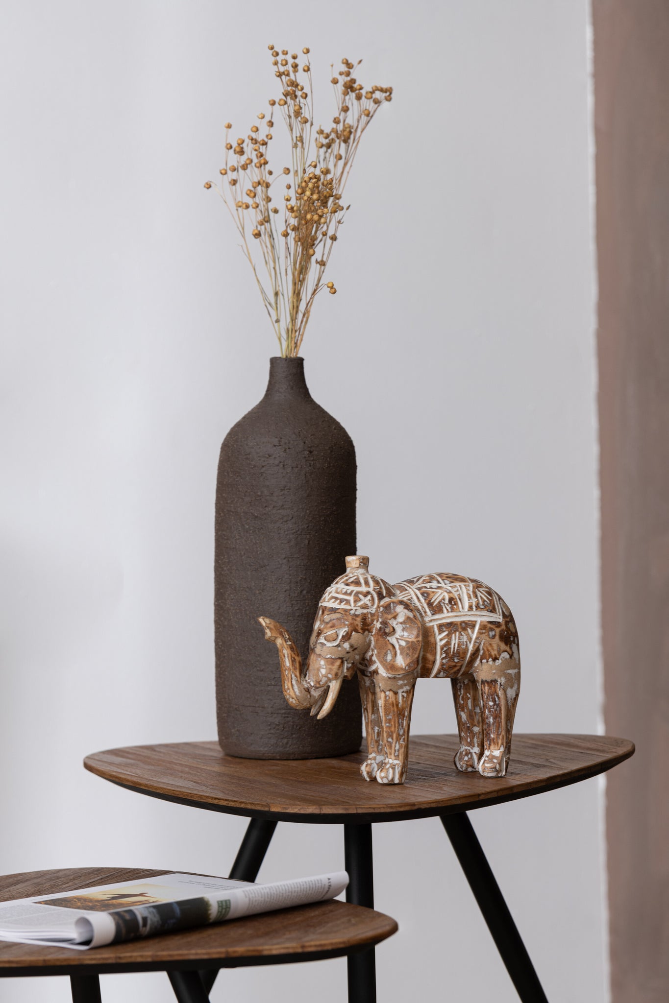 Bos Gedroogde Tishi+Tarwegras Natuurlijke Assortiment Van 2
