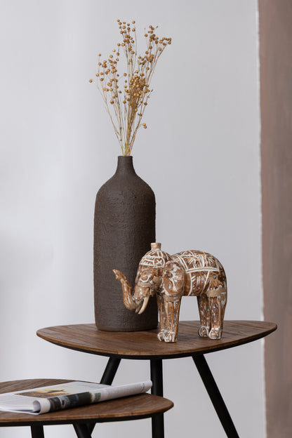 Bos Gedroogde Tishi+Tarwegras Natuurlijke Assortiment Van 2