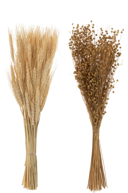 Bos Gedroogde Tishi+Tarwegras Natuurlijke Assortiment Van 2