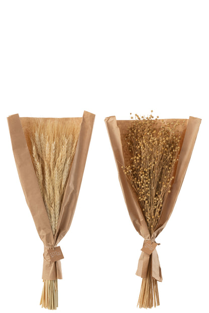 Bos Gedroogde Tishi+Tarwegras Natuurlijke Assortiment Van 2