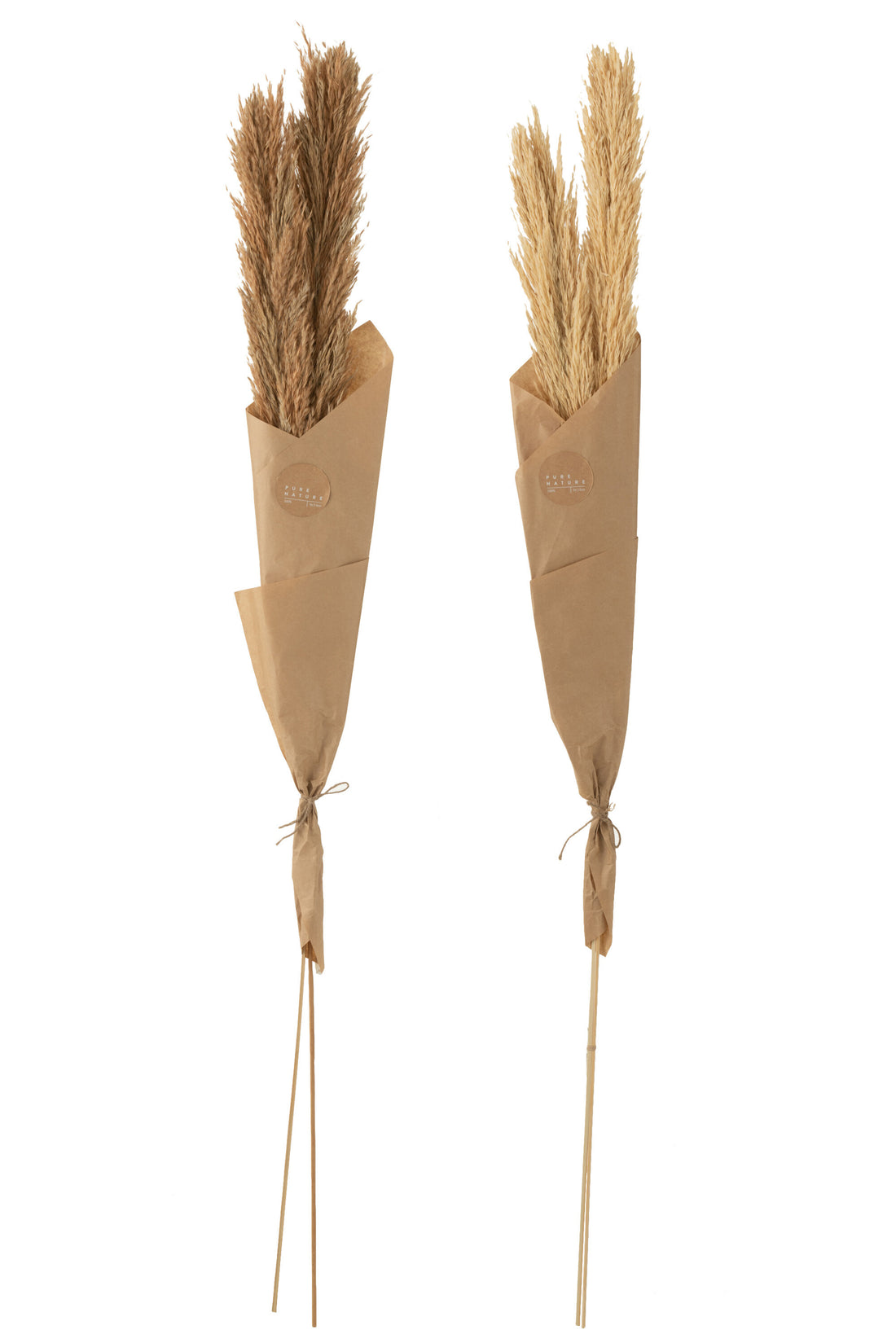 Tak Veer Pampas Natuurlijke Assortiment Van 2