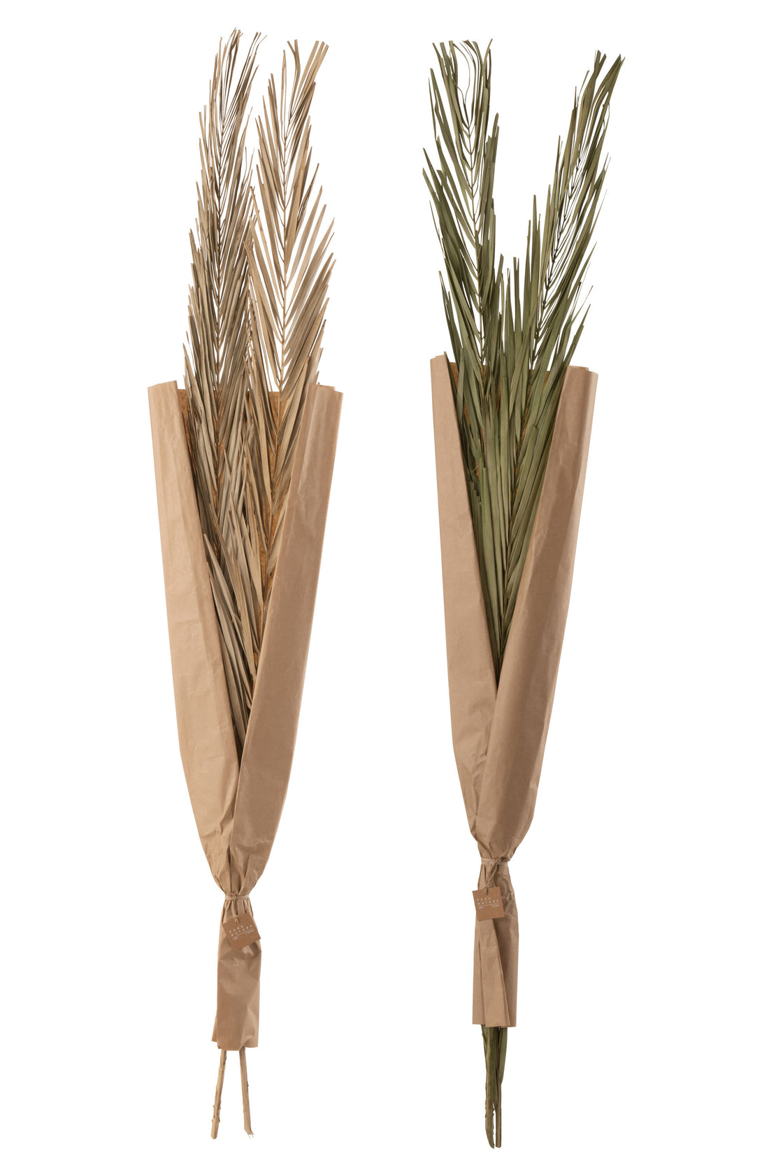 Bladeren Khajur 2 Stuks Groen Assortiment Van 2