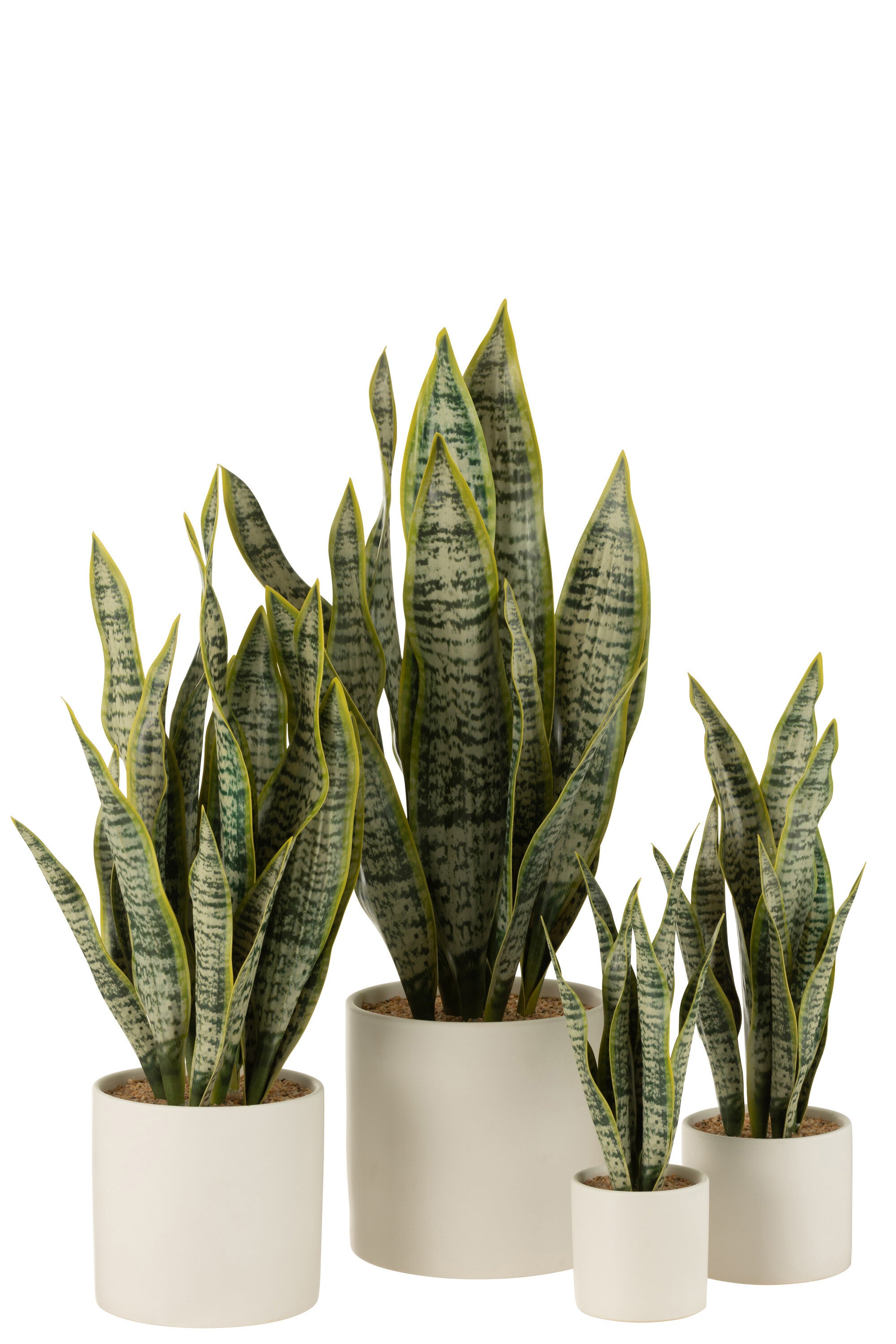 J-Line Plant Sansevieria In Pot Pvc Groen Extra Large