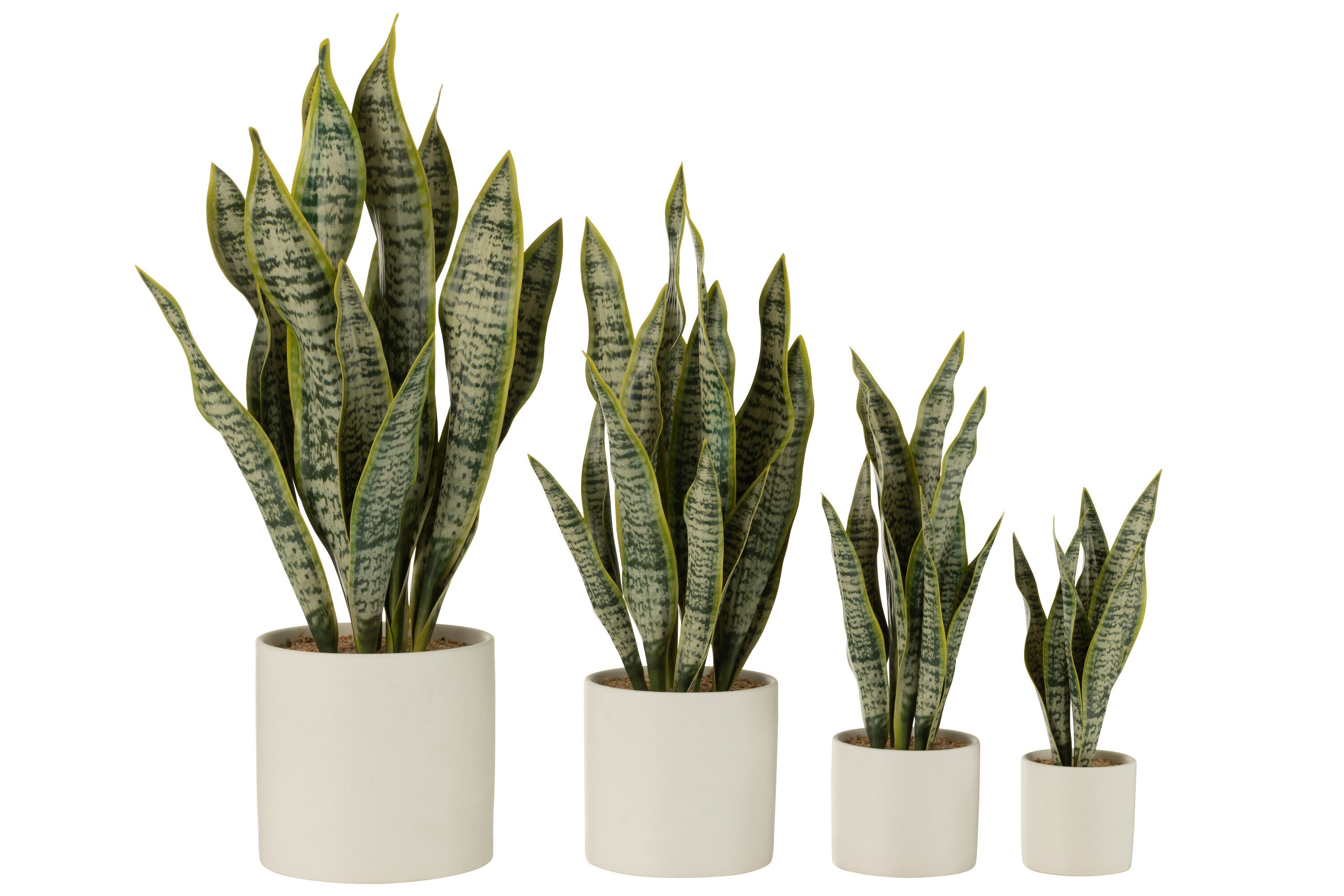 J-Line Plant Sansevieria In Pot Pvc Groen Extra Large