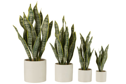 J-Line Plant Sansevieria In Pot Pvc Groen Extra Large