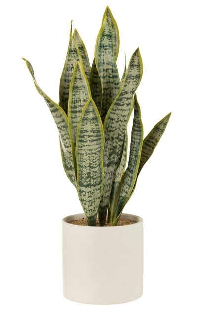 J-Line Plant Sansevieria In Pot Pvc Groen Extra Large