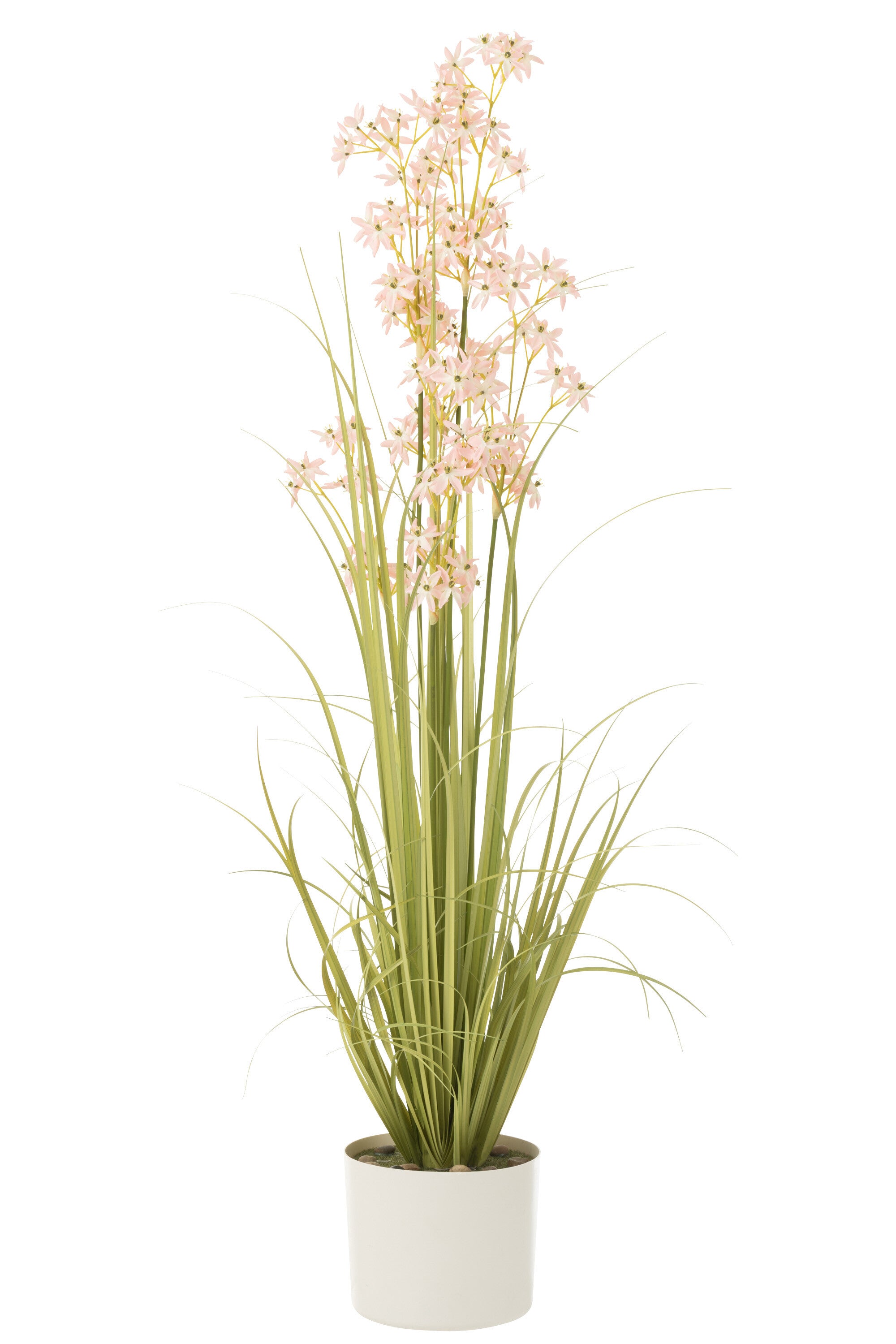 Allium In Pot Plastic Groen/Lichtroze Groot