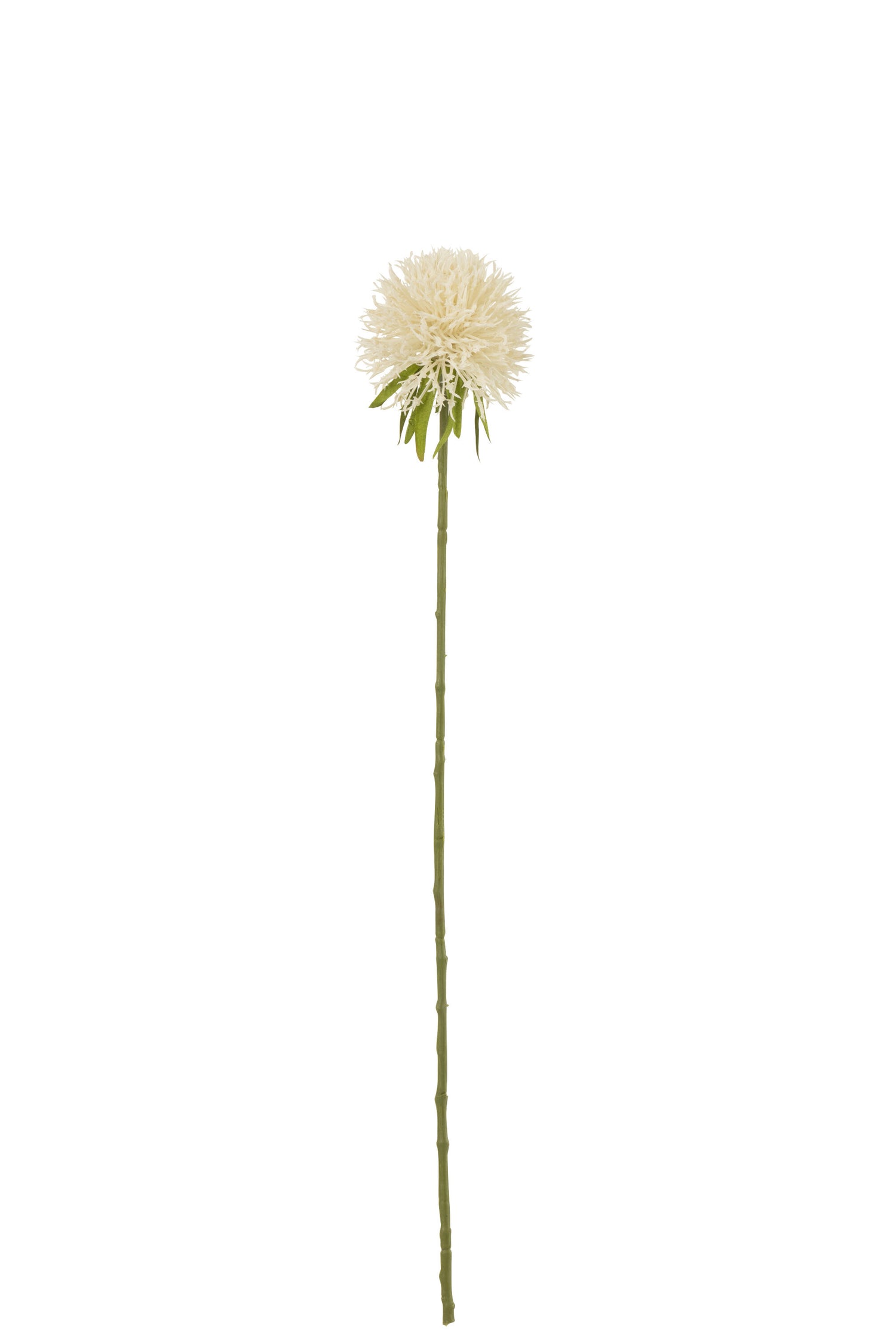J-Line Bloem Allium Plastiek Wit S