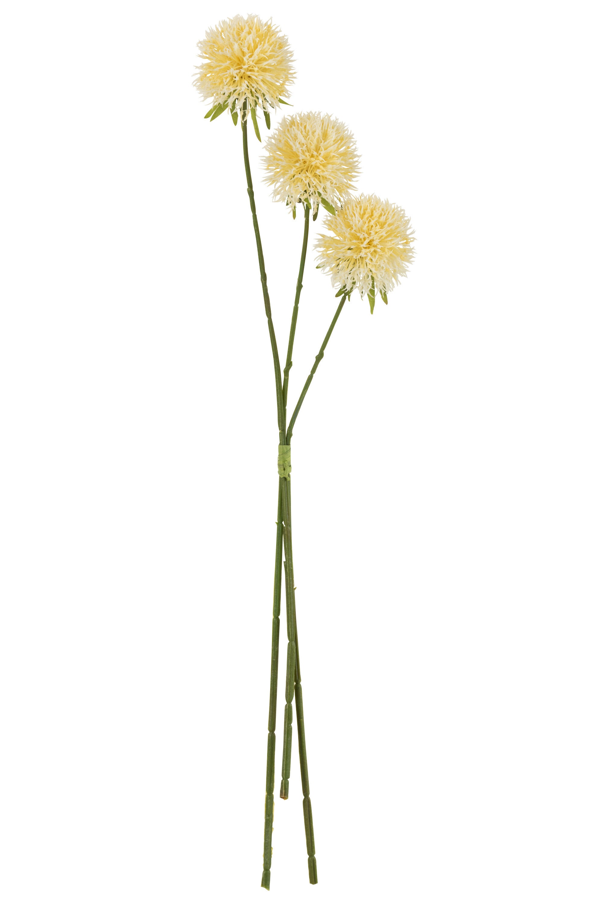 J-Line Bloem Allium 3 Stuks Plastiek Licht Geel L