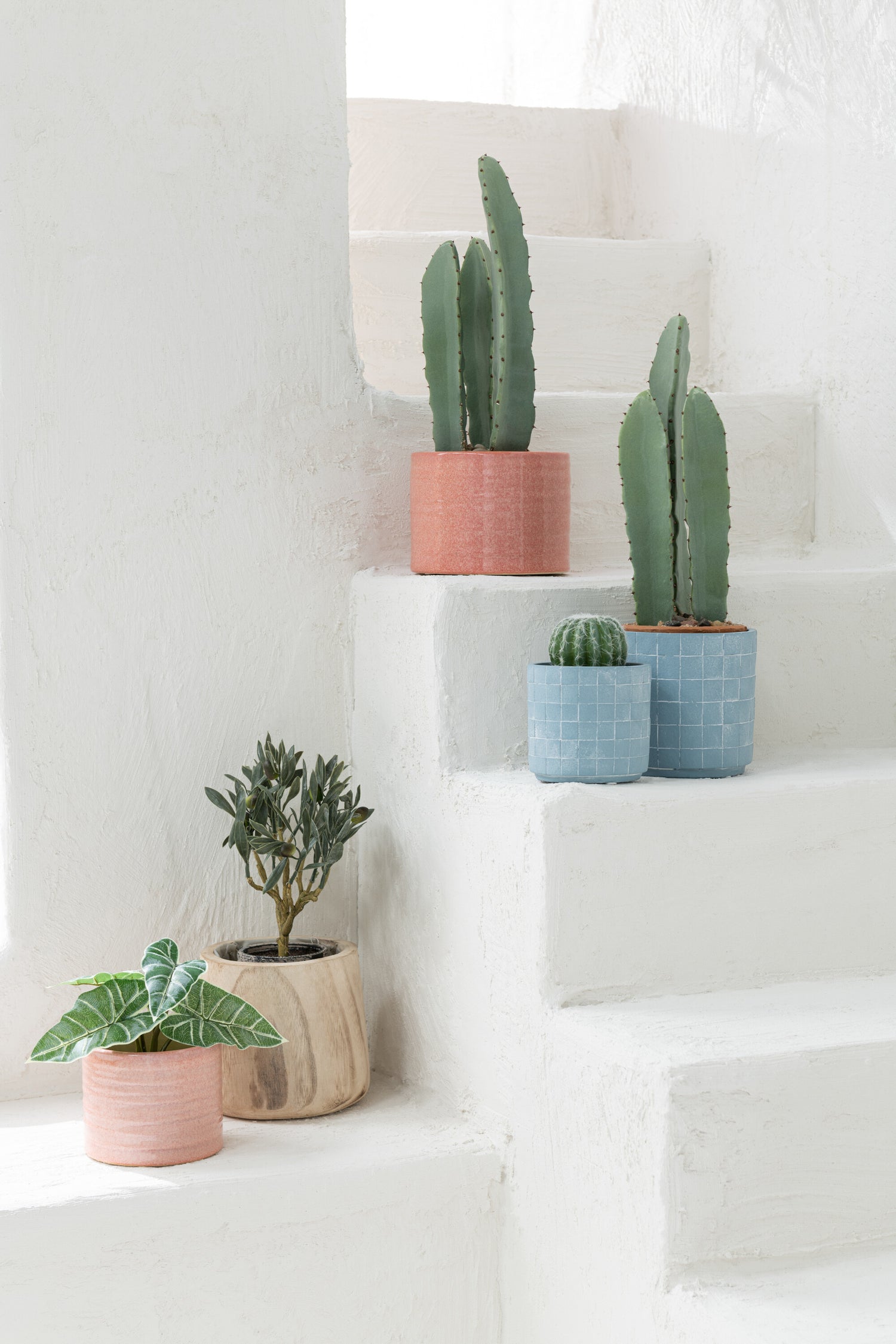 J-Line Cactus Rond In Pot Kunststof Groen