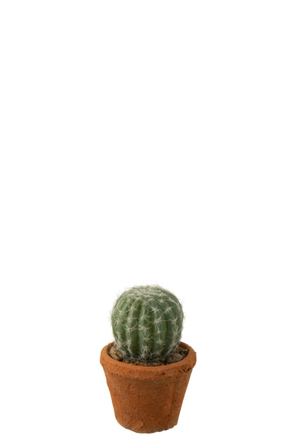 J-Line Cactus Rond In Pot Kunststof Groen