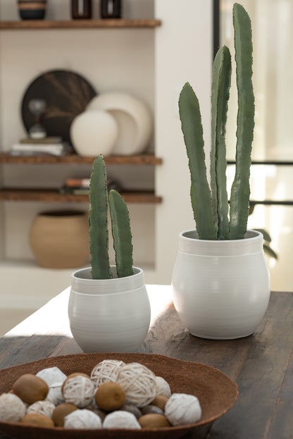 J-Line Cactus 3 Stuks In Pot Plastic Groen Klein