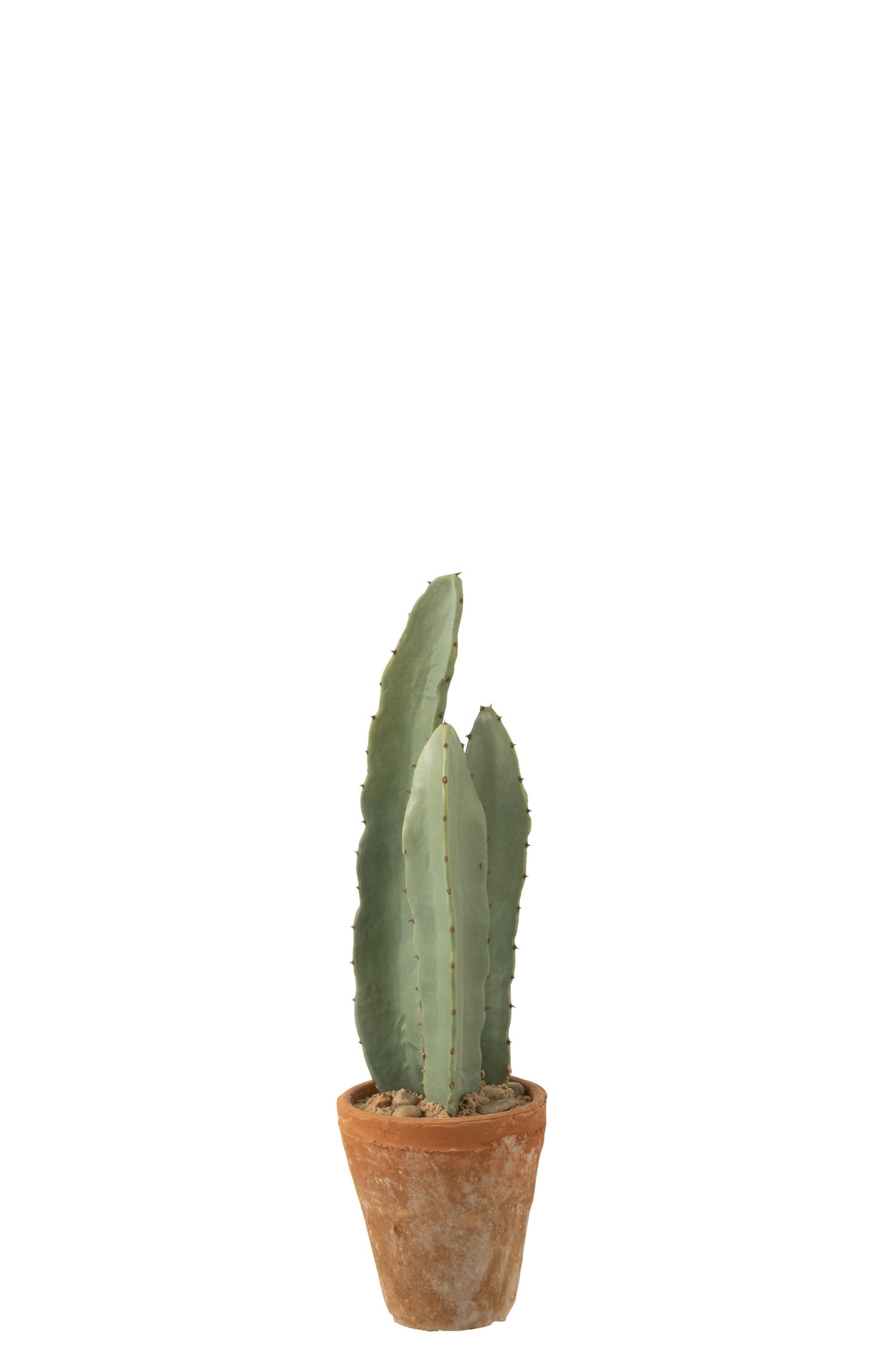 J-Line Cactus 3 Stuks In Pot Plastic Groen Klein