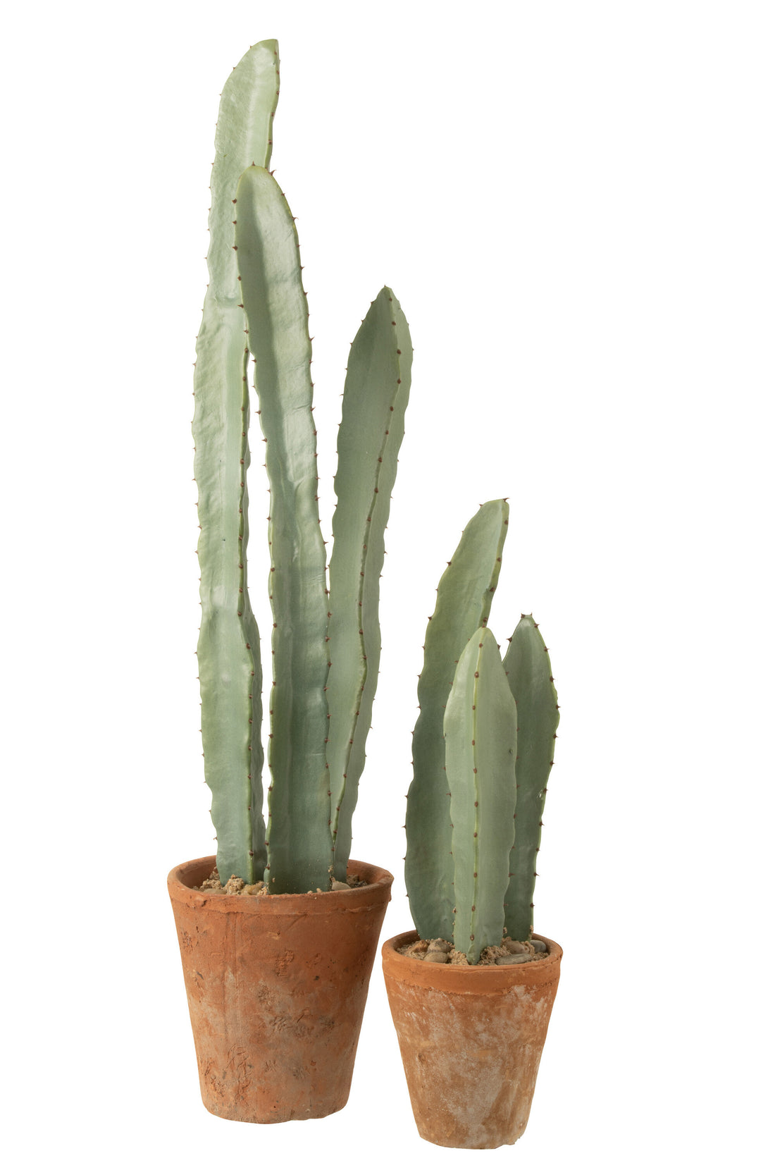 J-Line Cactus 3 Stuks In Pot Plastiek Groen groot