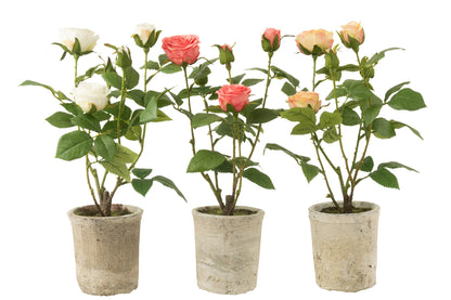 J-Line Roos 5 Koppen In Pot Plastiek/Textiel Geel/Groen