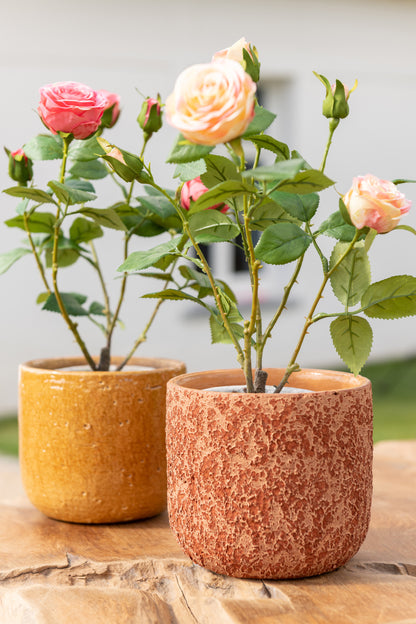 J-Line Roos 5 Koppen In Pot Plastiek/Textiel Geel/Groen