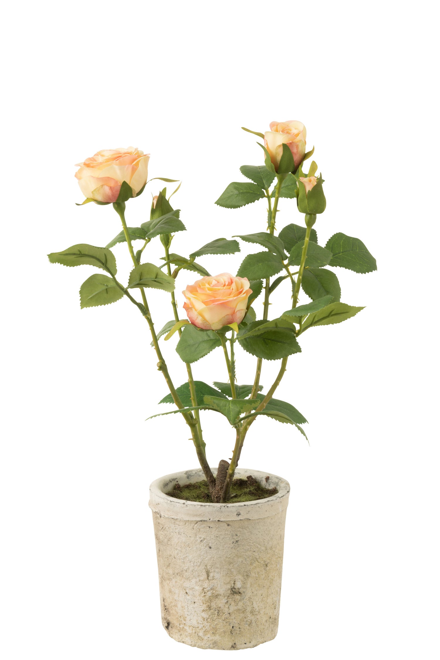 J-Line Roos 5 Koppen In Pot Plastiek/Textiel Geel/Groen