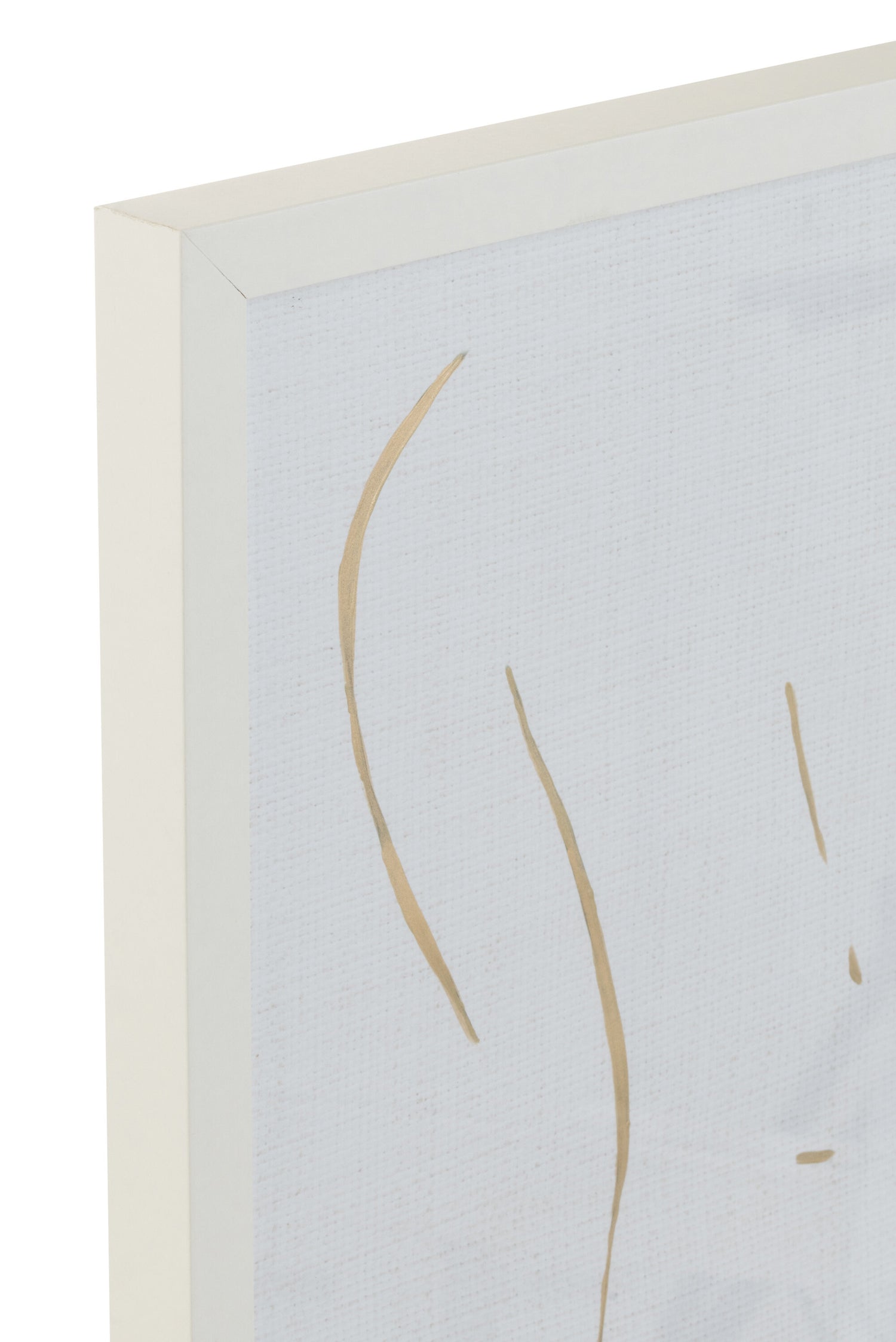 Lijntekening Vrouw Mdf/Glas Wit/Goud Assortiment Van 2