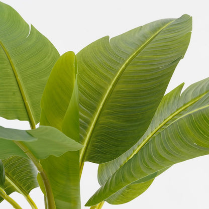 Kunstplant Bananenboom in Pot - H155 x Ã˜90 cm - Groen