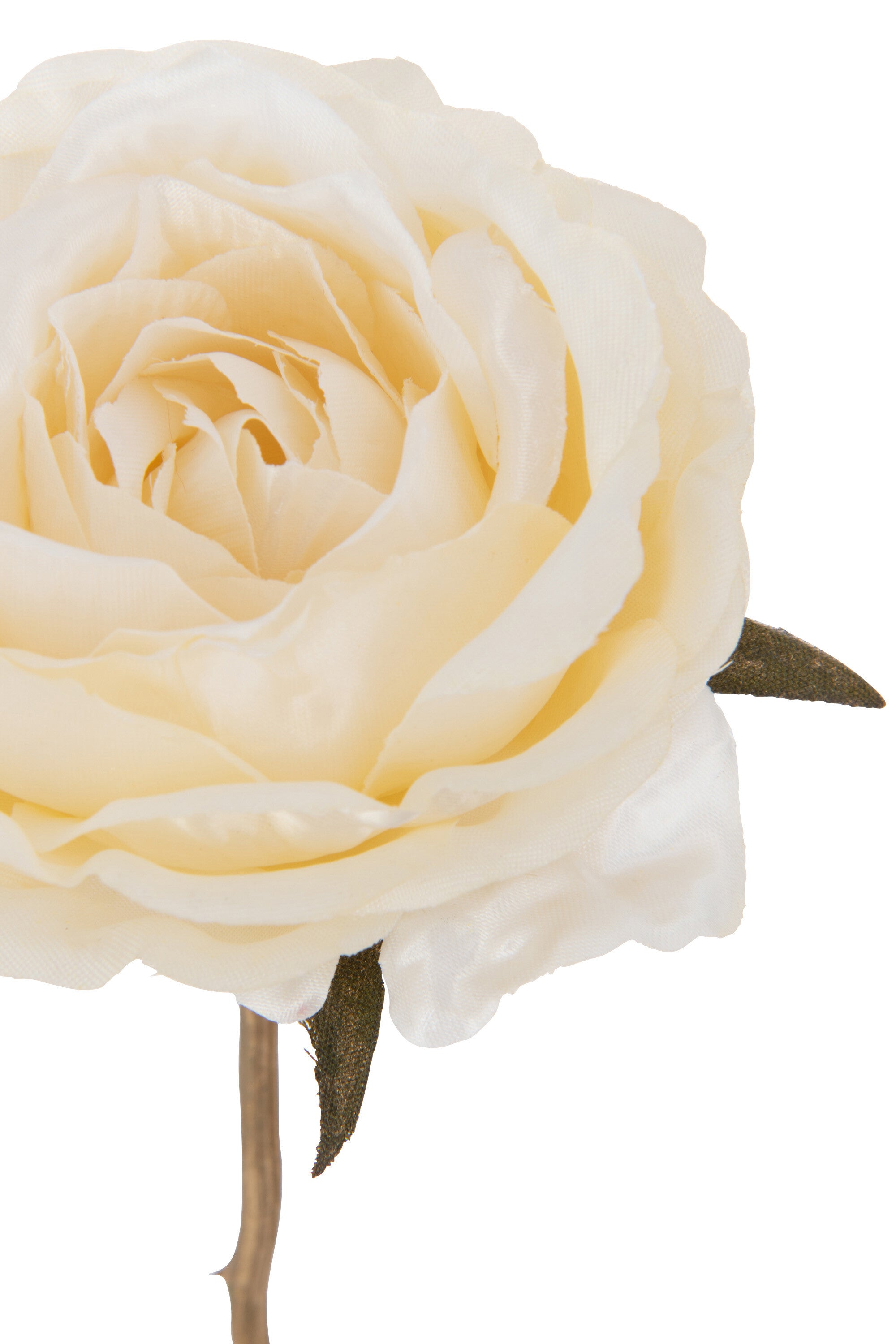 J-Line Roos 1 Stengel Plastiek Crème/Goud