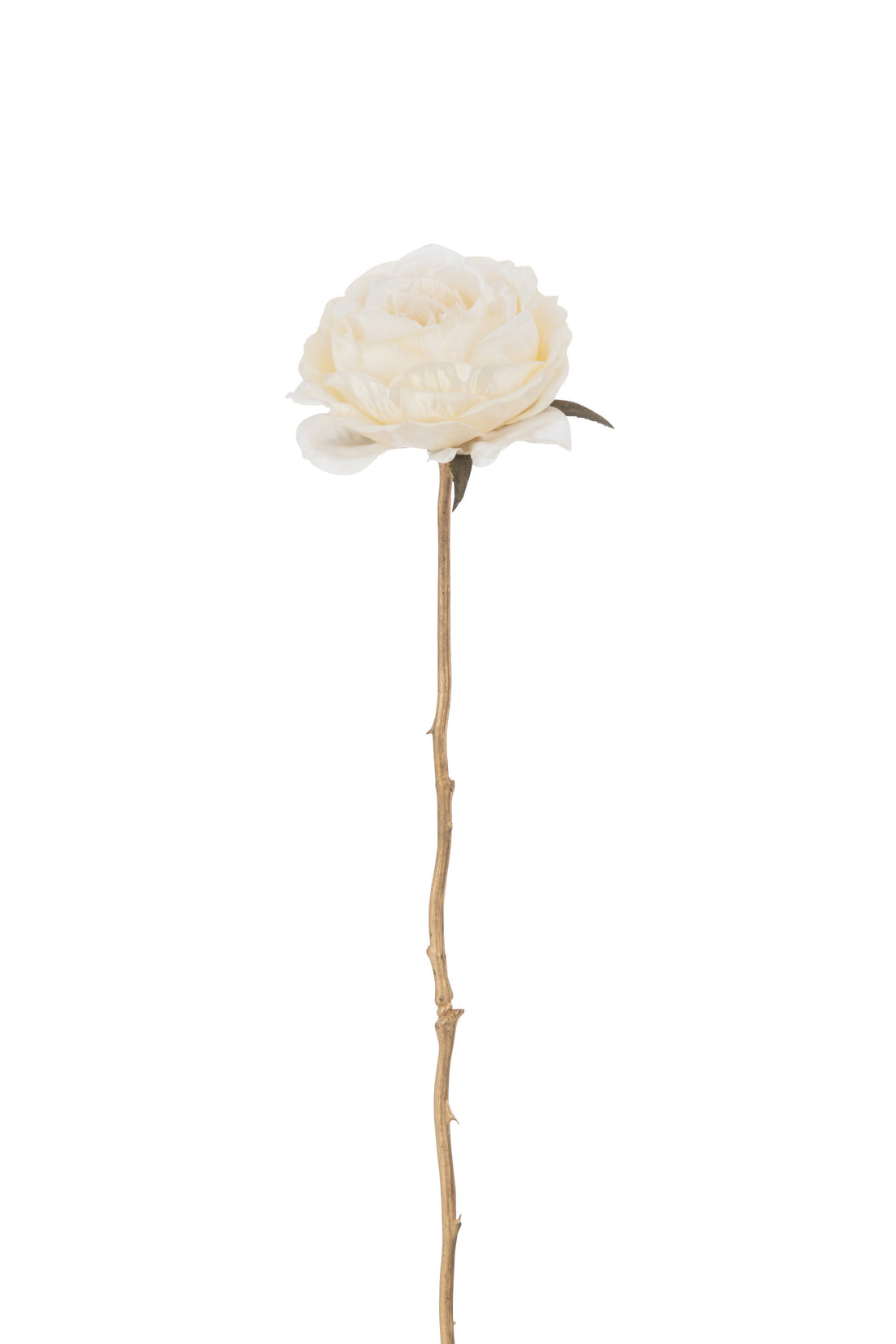 J-Line Roos 1 Stengel Plastiek Crème/Goud
