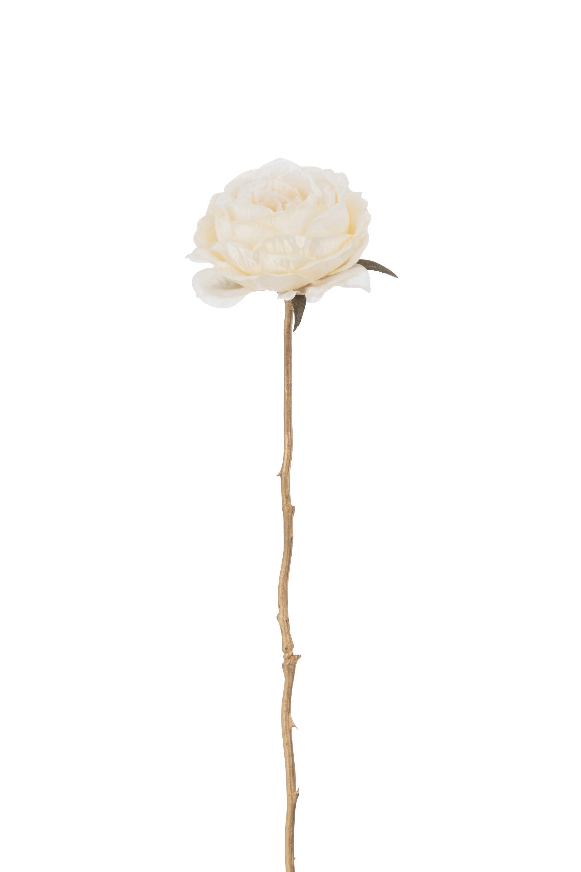 J-Line Roos 1 Stengel Plastiek Crème/Goud