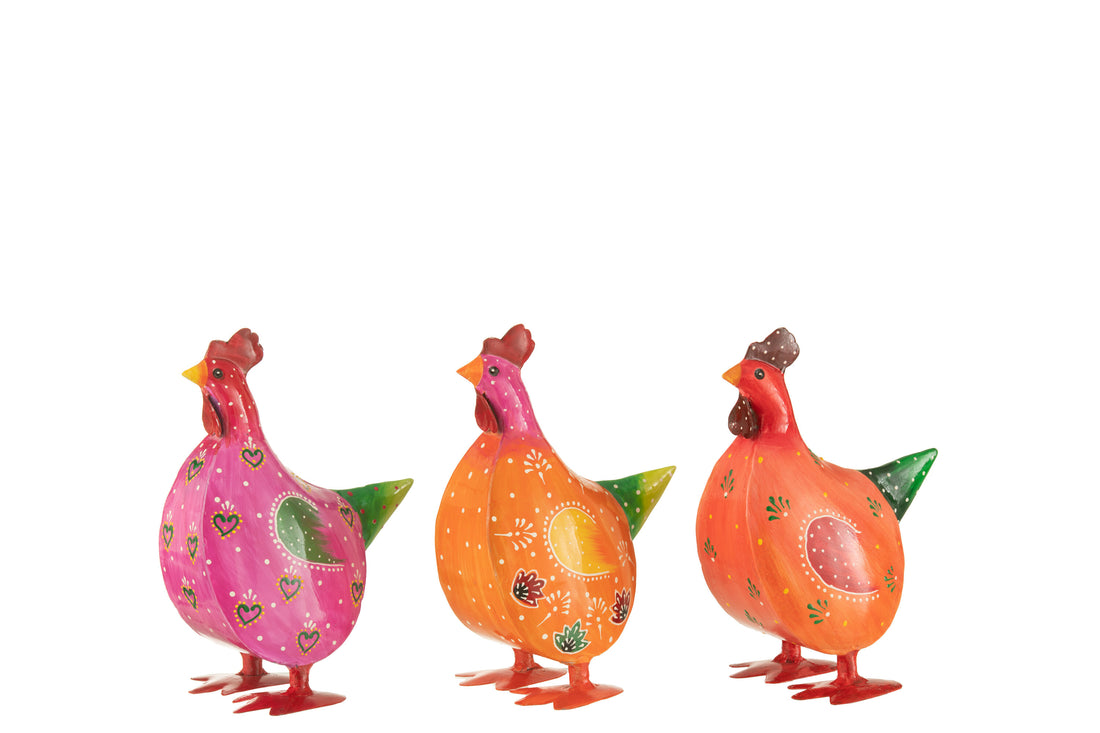 Rooster IJzer Mix Assortiment Van 3 Kleine