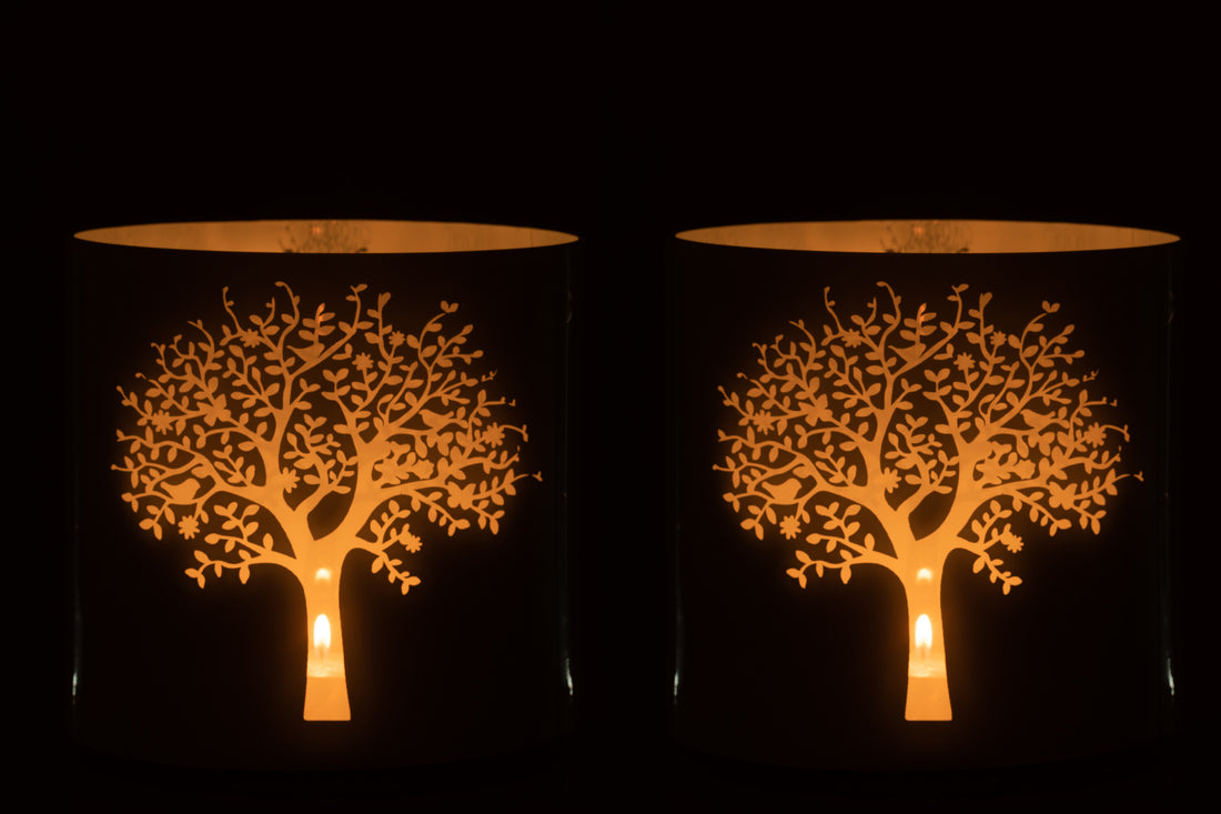 Orkaanboomglas Wit/Blauw Extra Groot Assortiment Van 2