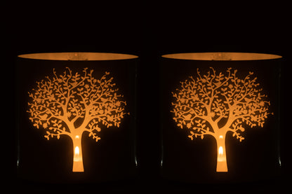 Orkaanboomglas Wit/Blauw Extra Groot Assortiment Van 2