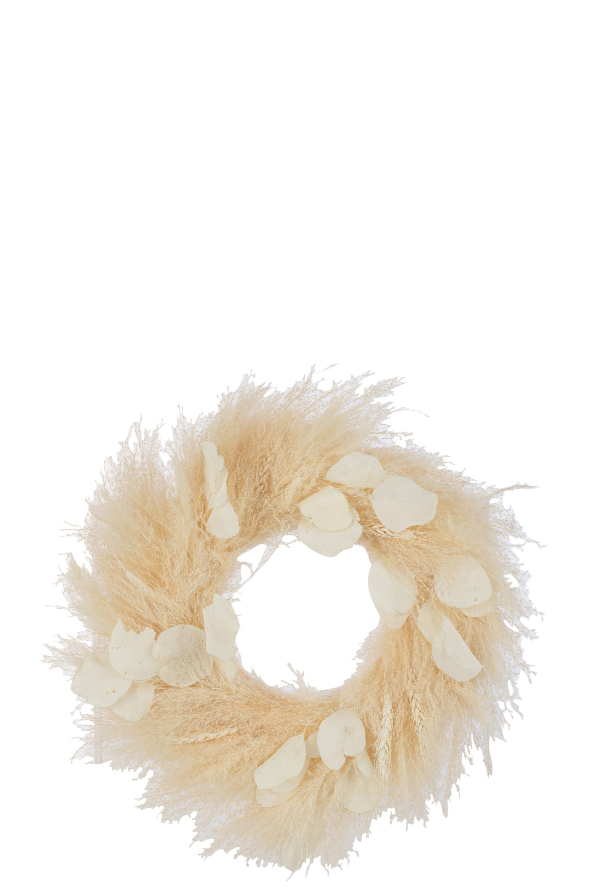 Krans Gedroogde Planten/Bladeren Natuurlijk Groot