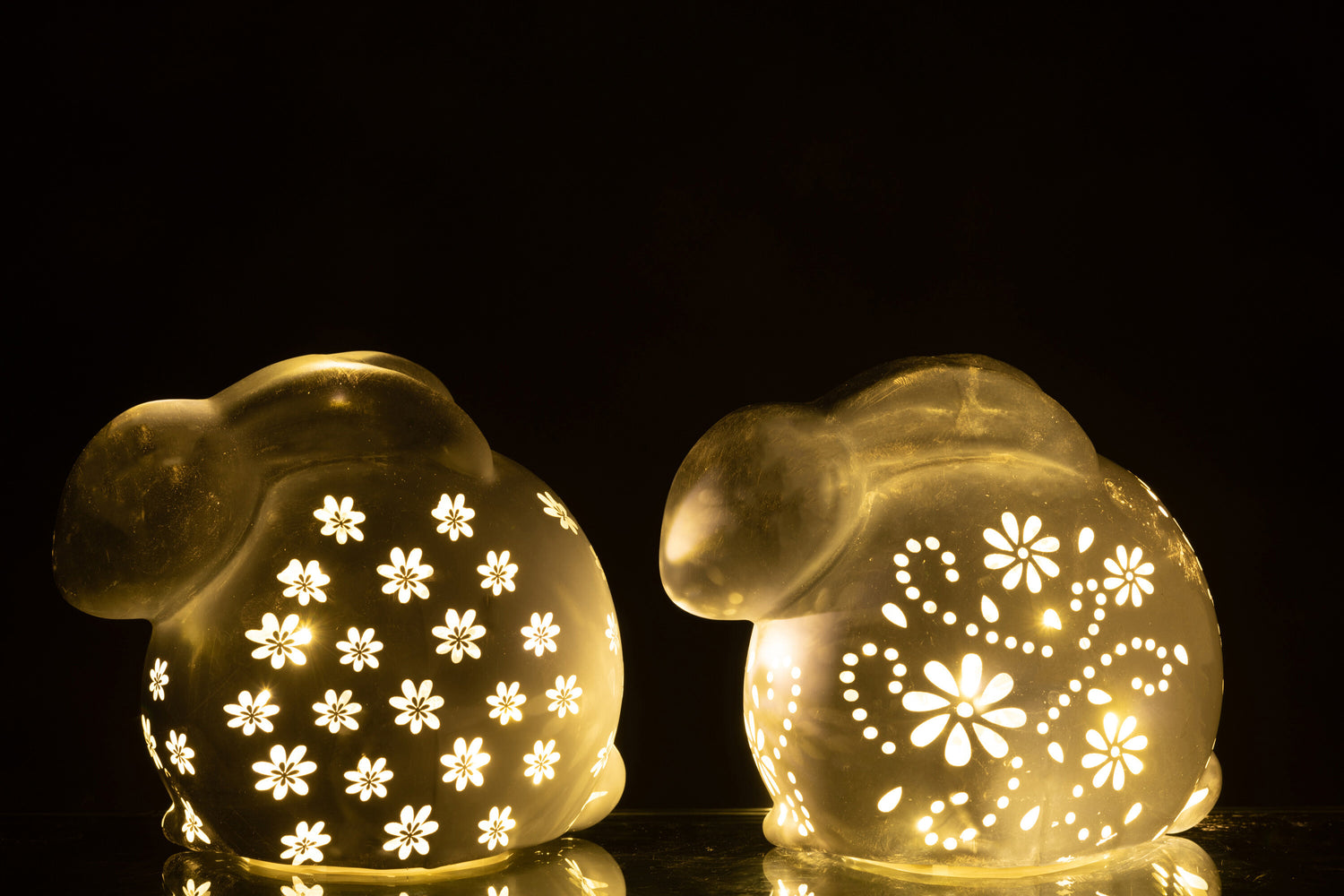 Konijnenbloemen Led Glas Wit Groot Assortiment Van 2